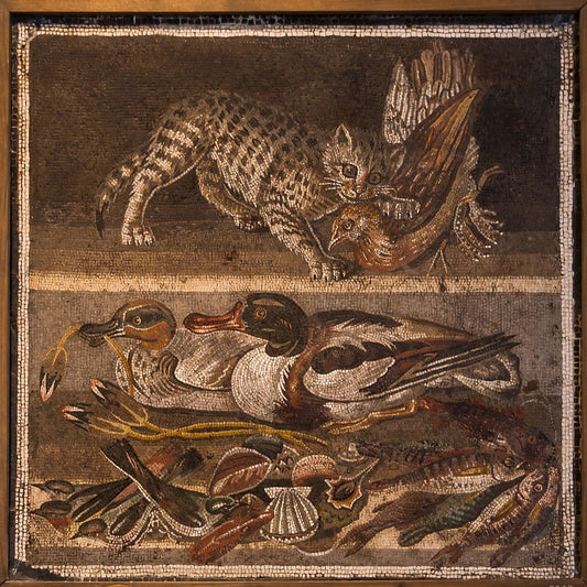 A History of Italy's Well-Loved Stray Cat Population