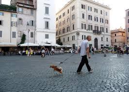 Travel Rome with Dogs