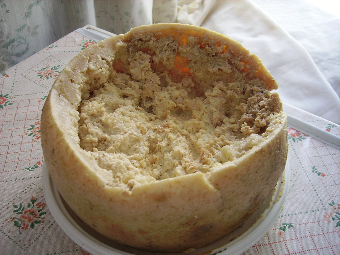 Casu Marzu Cheese Ultimate Guide: Origins, Production, and Controversies
