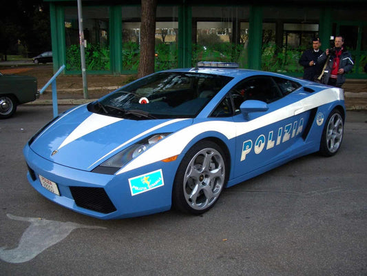 Everything About Vatican City’s Police Gendarmerie Corps
