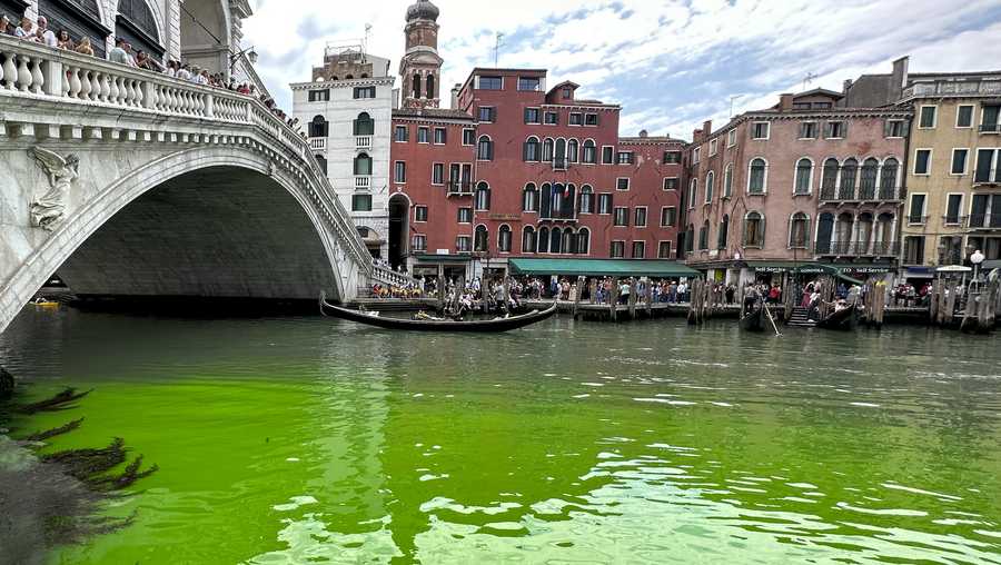 Why is Venice Water Green