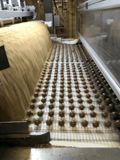 Ferrero rocher discount factory tour italy